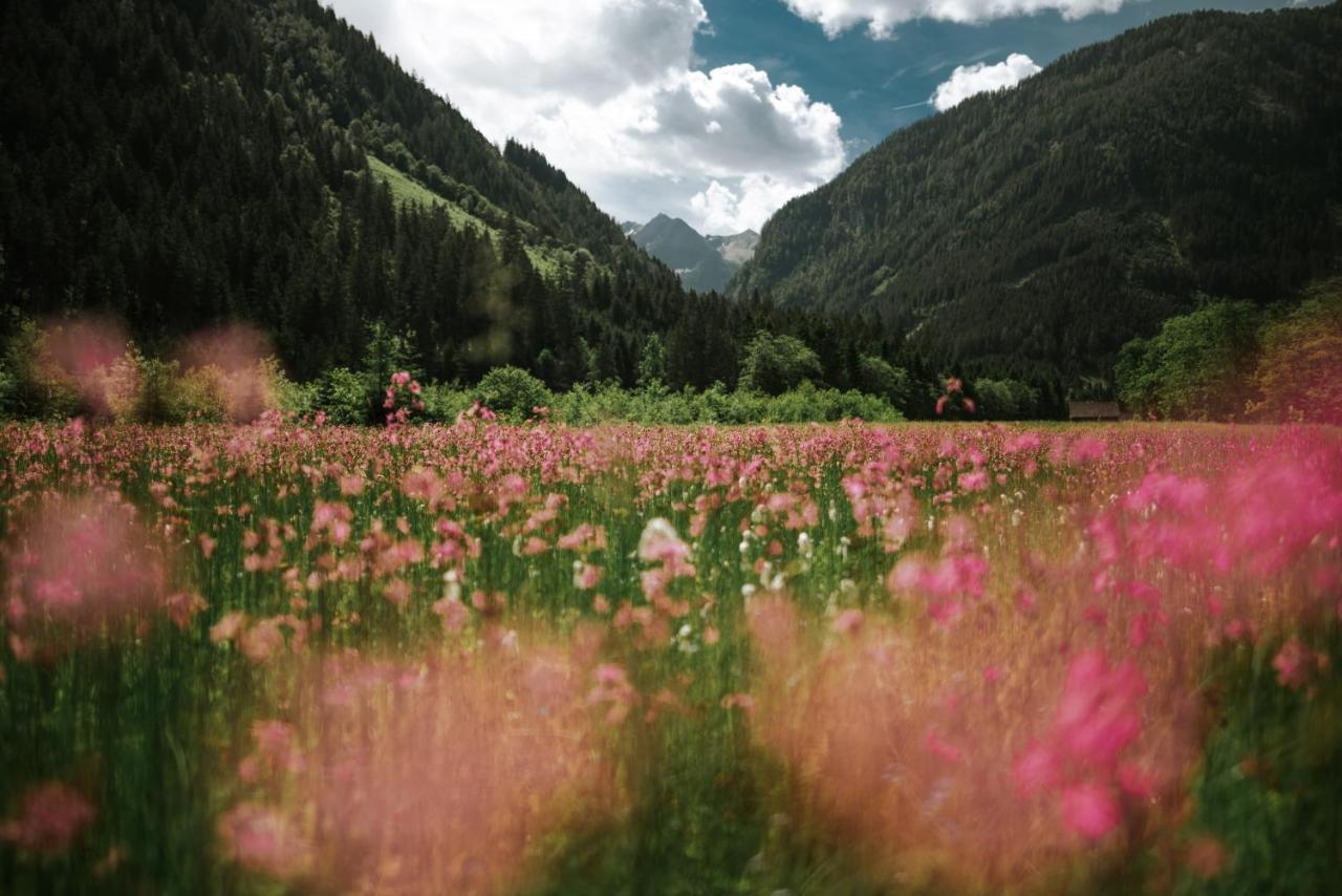 Haus Landart Διαμέρισμα Schladming Εξωτερικό φωτογραφία
